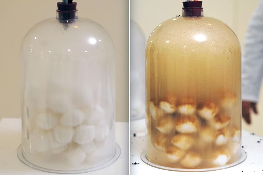 vaping vs smoking health effects