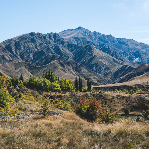 Top Vape Shops in Apple Valley, California
