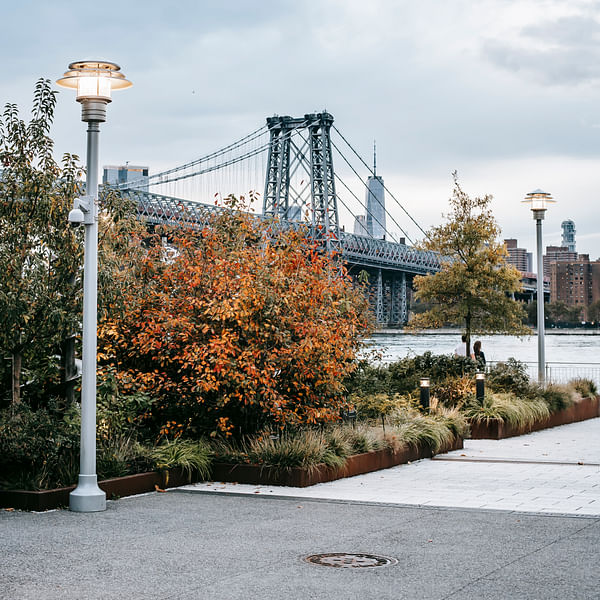 Top Vape Shops in East Meadow, New York