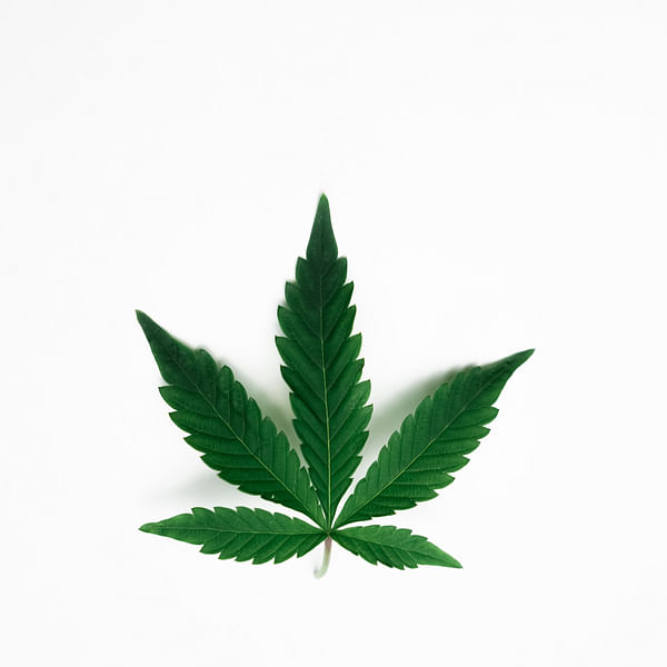 Top Vape Shops in Fremont, Michigan