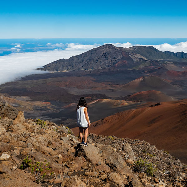 Top Vape Shops in Kapaʻa, Hawaii