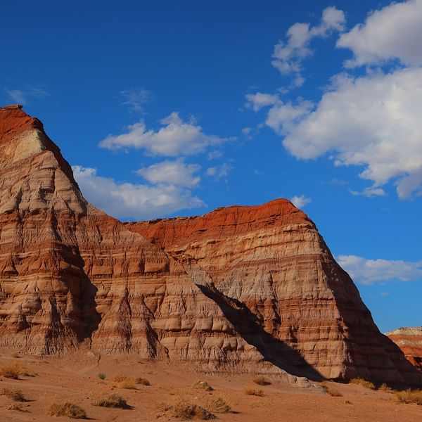Top Vape Shops in Logan, Utah