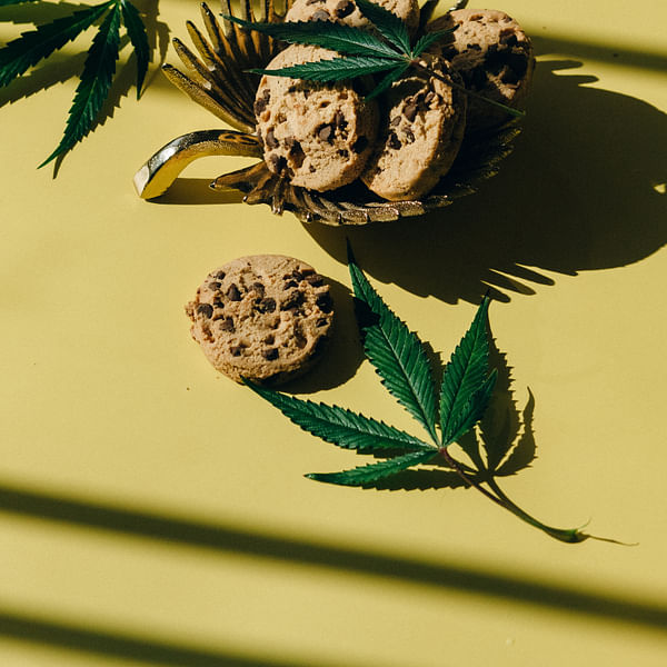 Top Vape Shops in Martinsville, Virginia