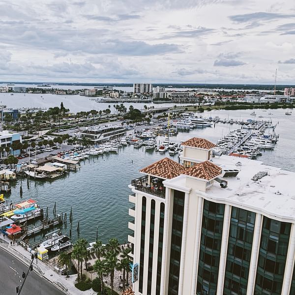Top Vape Shops in Palm Coast, Florida