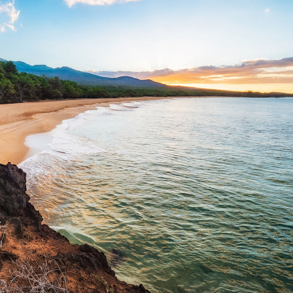Top Vape Shops in Virginia Beach, Virginia