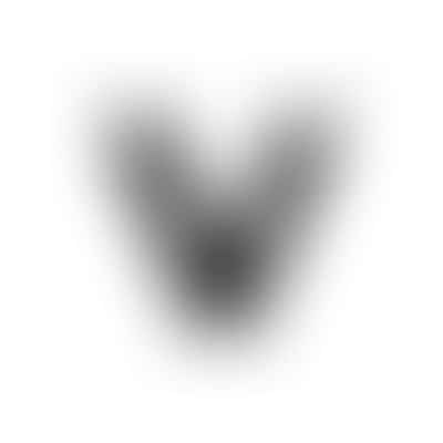 Veypur Logo