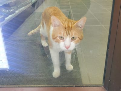 Atlantic tobacco Vape & Cigar