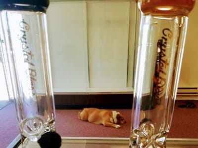 Blown Glass Gifts and Vapes