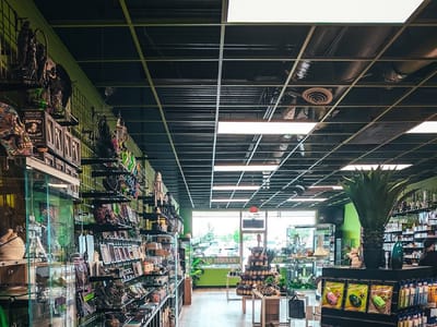 Buddha's Bazaar Smoke Shop | CBD, Vape, & More!