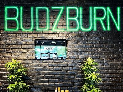 Budzburn