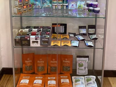 Cannabis 21+ Dispensary Ukiah
