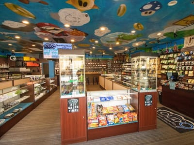 Cloud 9 Smoke, Vape, & Hookah Co. - Sandy Springs