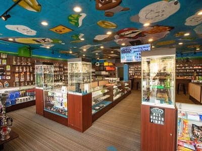 Cloud 9 Smoke, Vape, & Hookah Co. - Sandy Springs