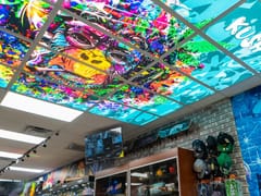 Coit Smoke & Vape Shop | Vape Shop l CBD Store l Smoke Shop | Kratom l Delta 8 THC | Elf Bar | Esco Bar | 3Chi