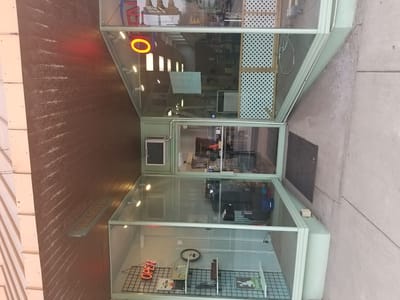 Fergy's Grocery, Glass, & CBD