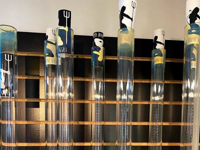 Frolic On the Mountain ~American Glass, CBD, Vapes , Disc Golf And Gift Shop