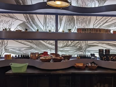 GloChella by Cloud 9 Dispensary & Vape Shop, Festival Clothing, Oxygen Bar and more