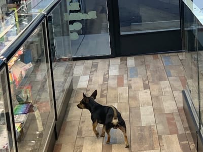 Gravitate Smoke & Vape