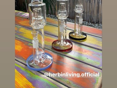 Herbin Living Smoke Shop, Kava Bar