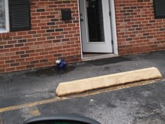 Illusion Tobacco and Vape