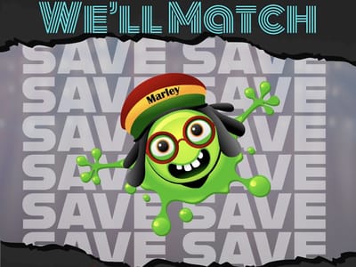 Marleys House Tarpon Smoke Shop Vape