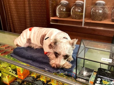 Master Piece Vape & Smoke Shop