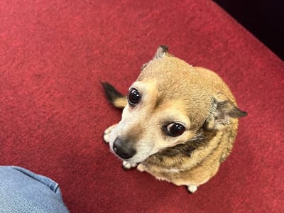 Mike's Vapor Shop Boerne/ mikesvaporshop.com