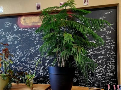 Northwest Freedom Vape