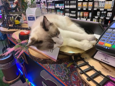 Ovale USA [Vapes,Gadgets & Gizmos]