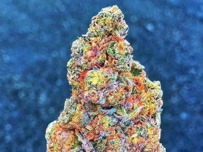 S&G's Smoke and Vape (Flour Bluff)