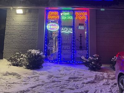 Silver Haze Smoke Shop Vape