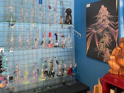 Studio 13 Dispensary