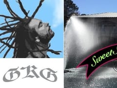 Sweet Southern Vapes Miramar Beach