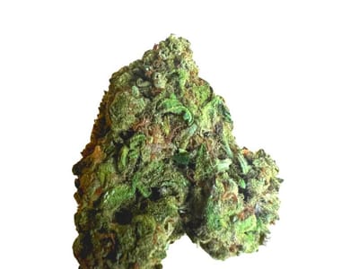 The Standard Bud Bar & Lounge | Cannabis Dispensary, Hemp Wellness, Smoke Shop, Vape Store