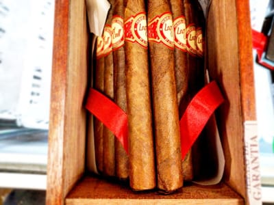 Tobacco, Vape & Cigar