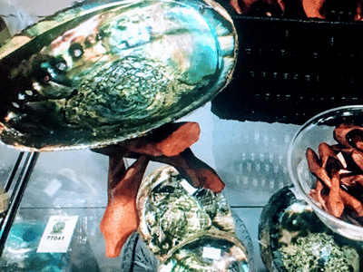 Trip 3 Smokeshop & Botanicals