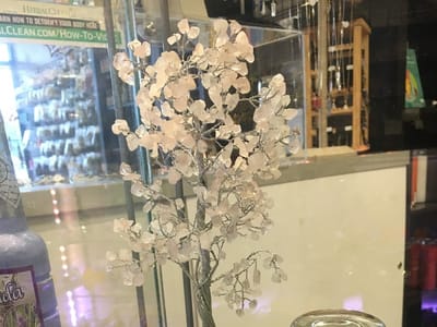 Trip 3 Smokeshop & Botanicals